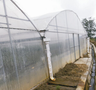 供应用于蔬菜种植的大棚建设/单体棚+滴灌系统  用于种植大棚 25 1.5mm镀锌钢管骨架 8丝薄膜