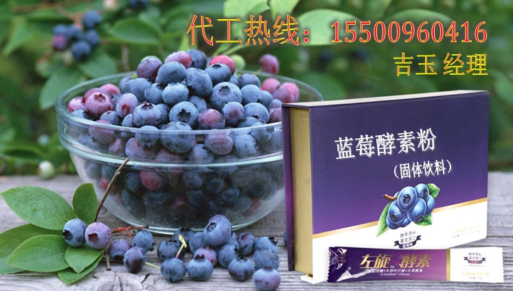 蓝莓酵素粉OEM代加工批发