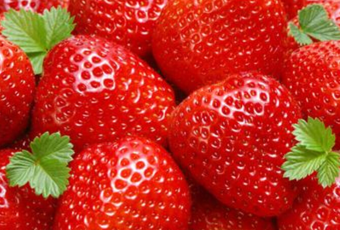 供应美王四季草莓小苗，价格批发，品种