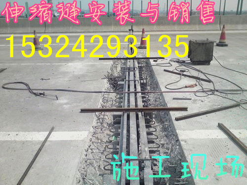 供应肇庆国标D80型桥梁伸缩缝价格多少