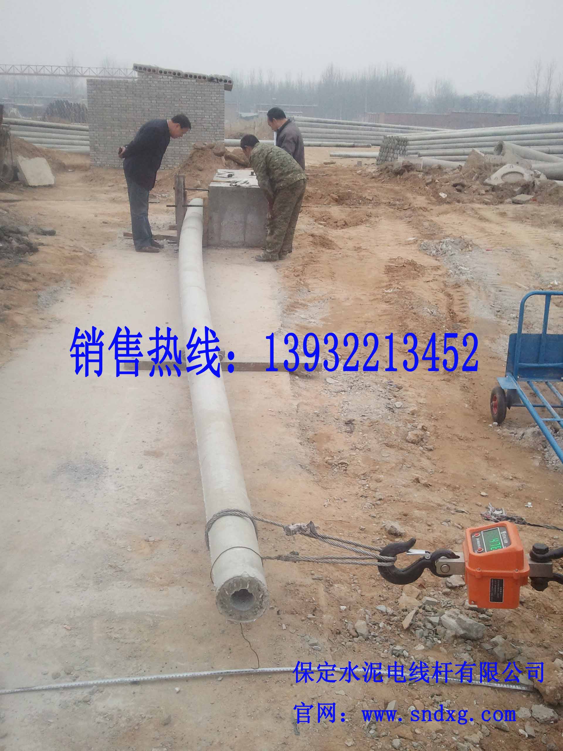 供应用于国家电网的10米加强型水泥电杆价格  石家庄电杆厂家图片