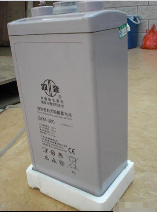 北京市双登蓄电池12V120AH厂家