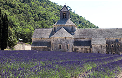 2015普罗旺斯旅游线路带您领略法国薰衣草的魅力