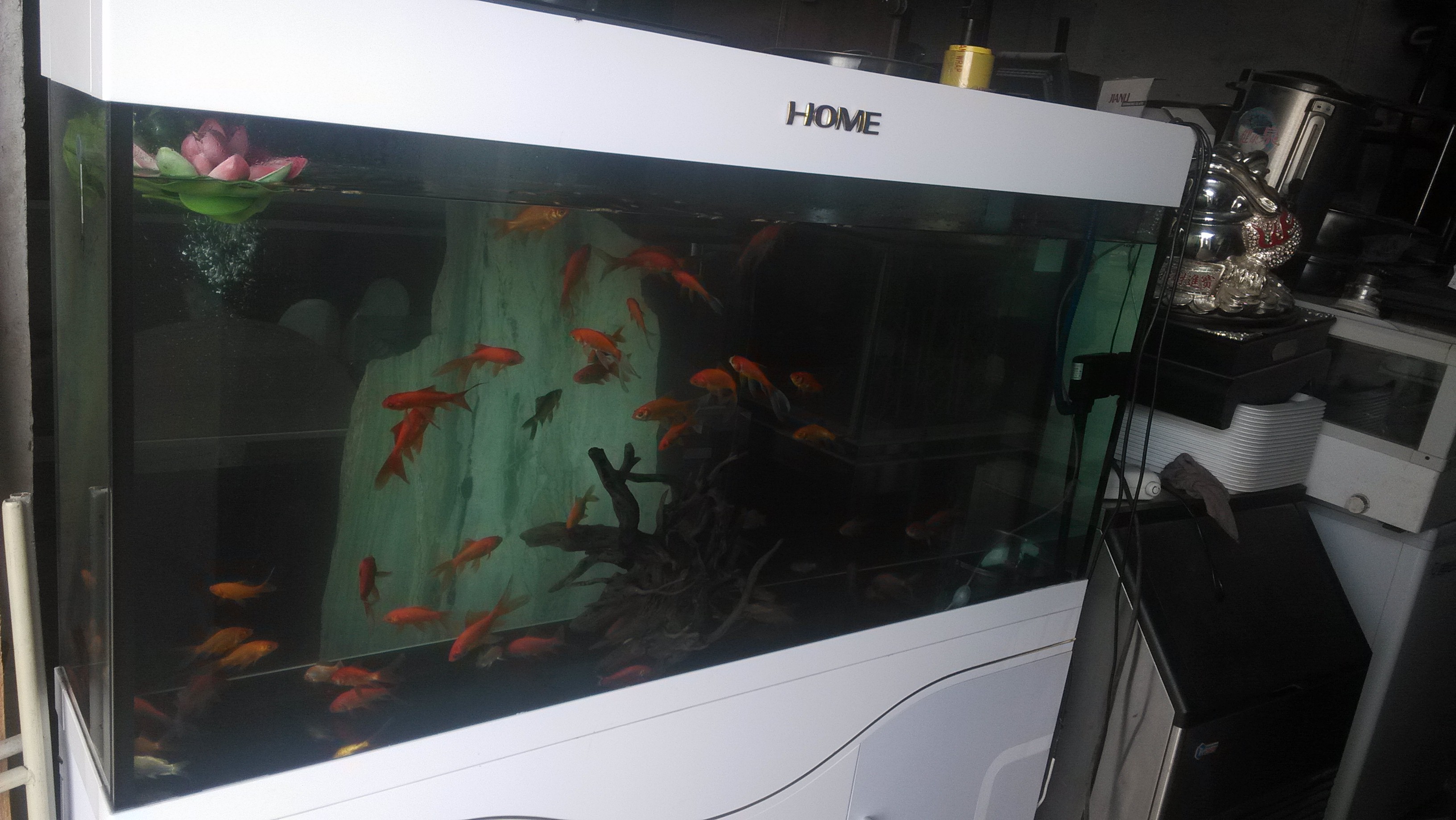 鱼缸  生态鱼缸 陕西生态鱼缸 生态鱼缸批发价格