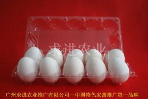 鸡蛋塑料托价格   鸡蛋塑料托批发   鸡蛋塑料托厂家