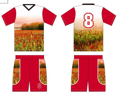 供应用于球服的北京球服定做 足球服 篮球服 棒球图片