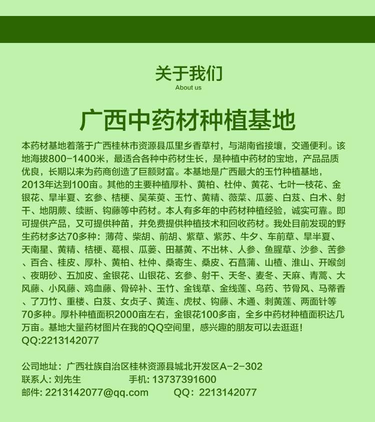 桂林市广西牛大力种苗价钱厂家供应用于中药材的广西牛大力种苗价钱 价格实惠 品种繁多 上门考察