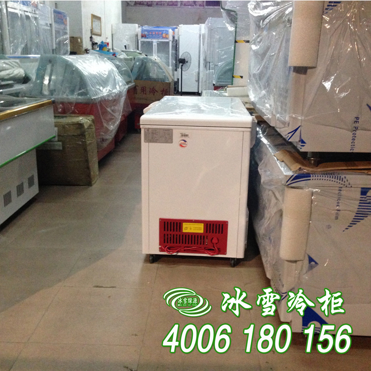 深圳市冷冻柜厂家供应冷冻柜，卧式冷藏冷冻柜，超市冰柜，雪柜