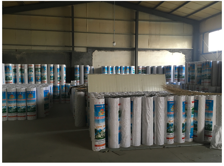 耐根穿刺高分子防水卷材 新疆防水卷材生产厂家