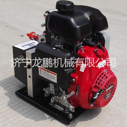 供应KJI-LK1R液压机动泵（金正