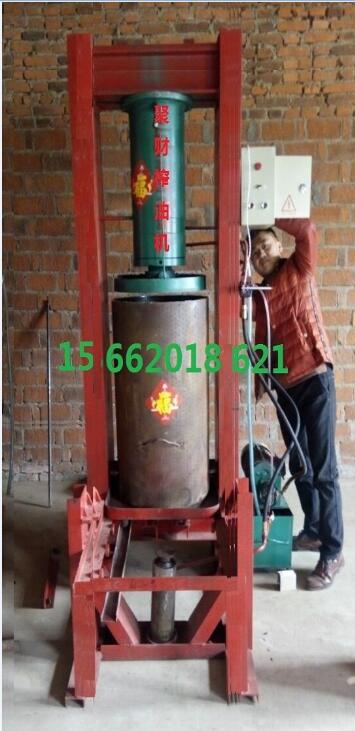 供应阳江小型电动榨油机器厂家批发价格，阳江220v家用电压油机械