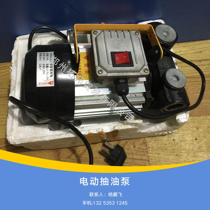 供应220V手提电动抽油泵报价电动试压泵专业标准手提电动抽油泵