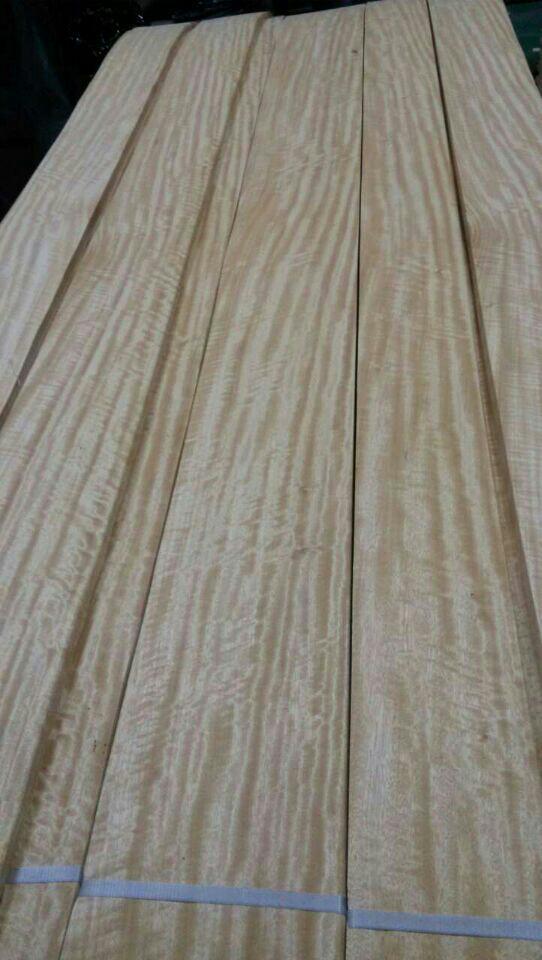 供应用于木皮生产的尤加利木皮 尤加利木皮封边条