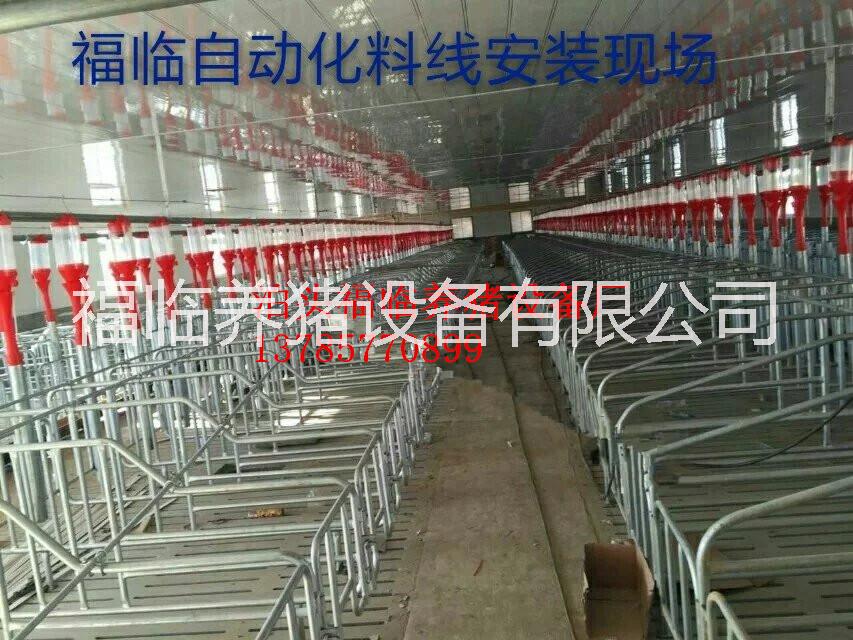 供应母猪产床养猪设备保育床厂家批发定位栏厂家批发图片