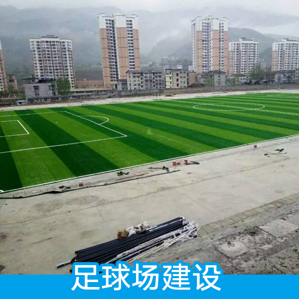 足球场建设足球场建设 人造仿真草坪 塑料假草坪 幼儿园人工草皮 学校运动场地人造草坪
