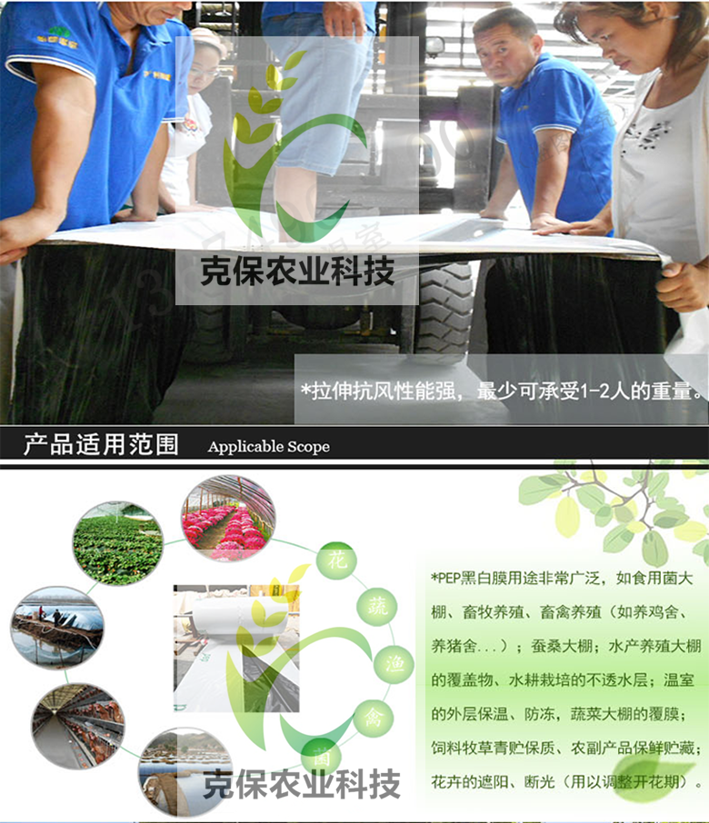 上海专业生产食用菌反光膜供货商 反光膜 降温膜 货商，食用菌反光膜价格图片