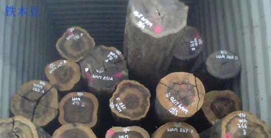 出售进口非洲原木铁木豆原木