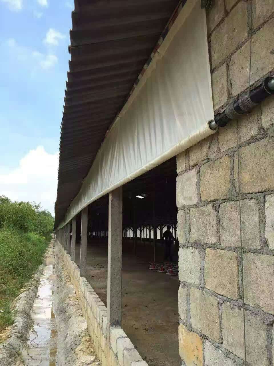厂家加工加厚PVC篷布防水防晒防雨雨布汽车蓬布养殖场卷帘布图片