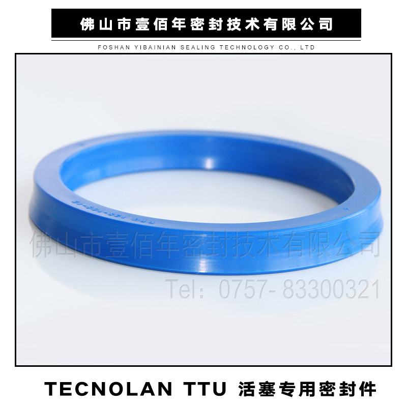 TECNOLAN TTU 活塞专用密封件 进口液路坚密封件 机械密封垫圈图片