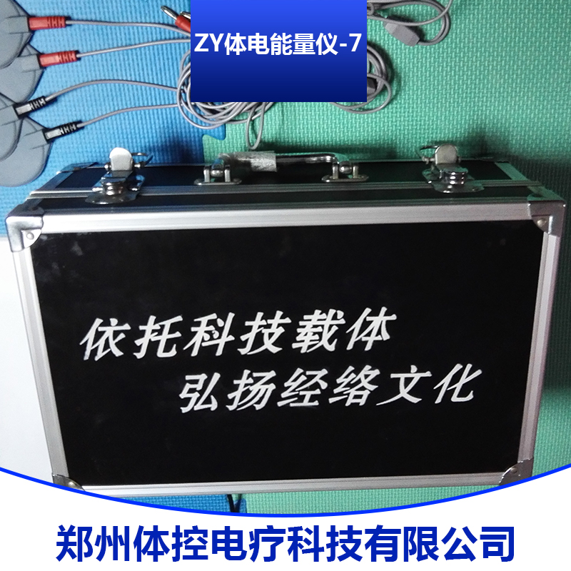ZY体电能量仪-7 ZY体电能量仪-7供应商 ZY体电能量仪-7直销 ZY体电能量仪-7价格