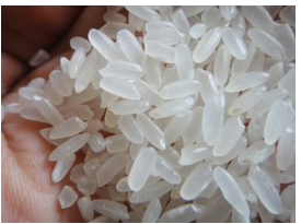 鹤岗市五常大米出售厂家五常大米出售   稻花香大米出售