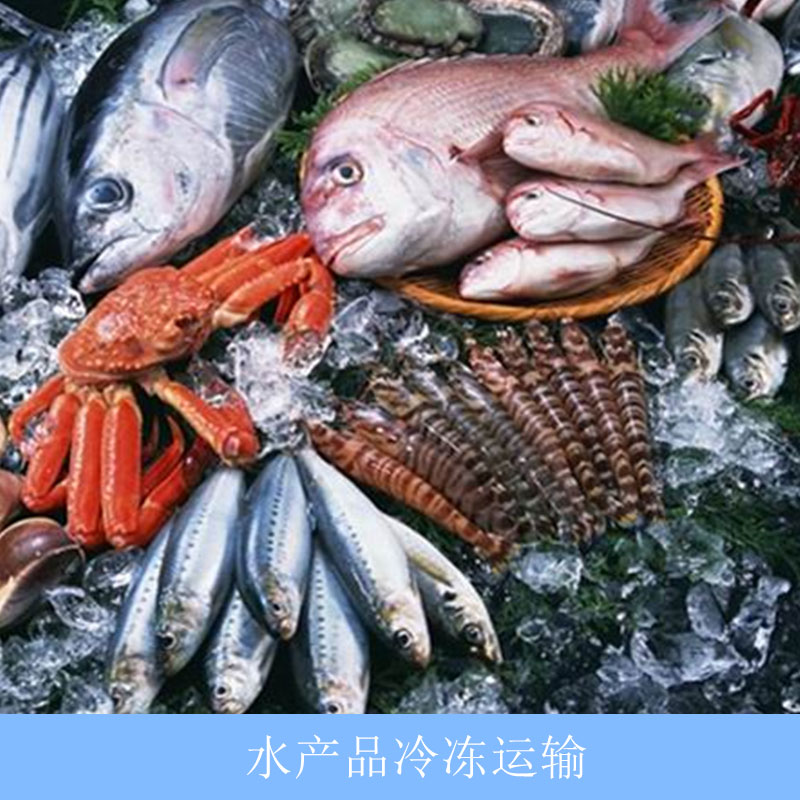 上海东巨物流有限公司提供专业安全可靠的水产品冷冻运输服务