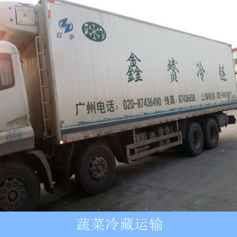 广东广州蔬菜冷藏运输公司、运输车队、费用明细、联系电话
