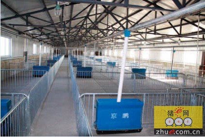昆明市自动喂料设备 养猪料线 优质供料厂家自动喂料设备 养猪料线 优质供料