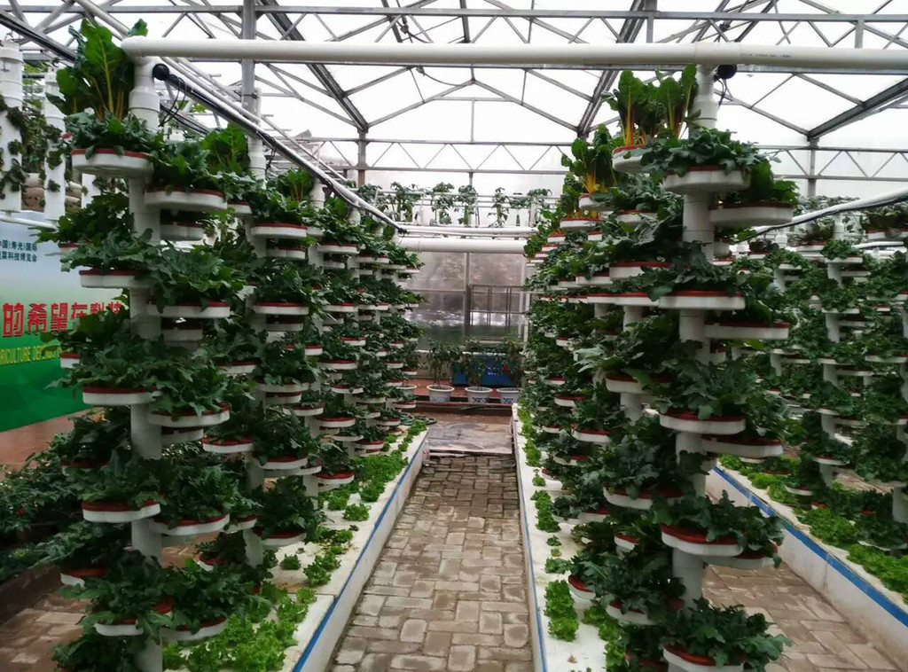 潍坊市成德温室景观|智能温室建设|蔬菜厂家