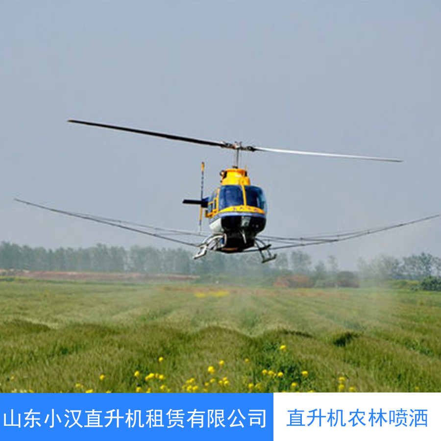 中山直升机航拍航测 物探巡线批发