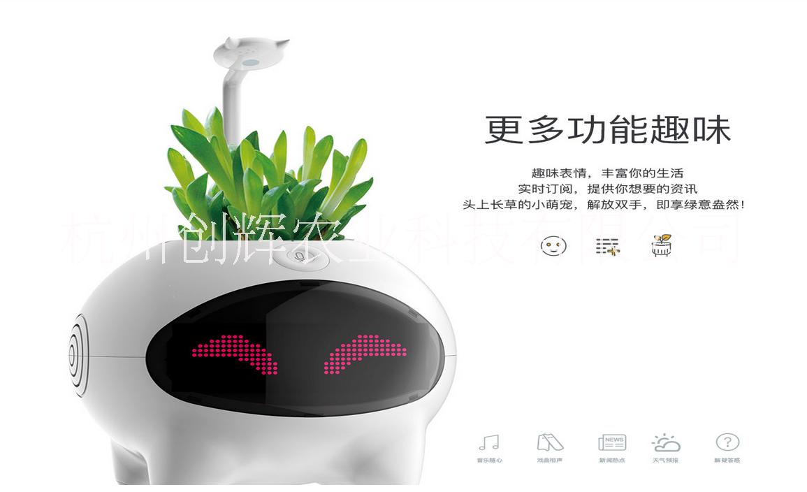 杭州市成长智能陪伴机器人厂家