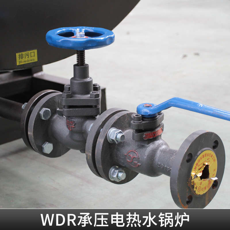 WDR承压电热水锅炉报价、图片、行情_WDR