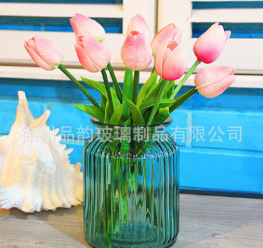厂家批发彩色玻璃花瓶家居装饰玻璃插花瓶大小号水培花器可定做 水培瓶水培瓶