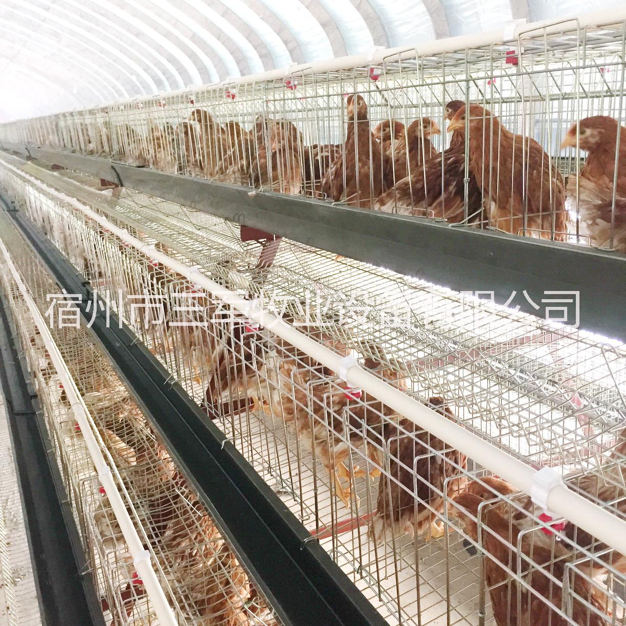 阶梯式成套蛋鸡笼 三军牧业厂家直销 高强度养殖场鸡笼 组装