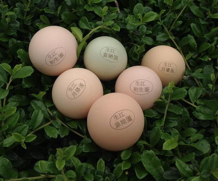 生江初生蛋鲜鸡蛋土鸡蛋草鸡蛋无公害鸡蛋本地鸡蛋鸡场直销包邮