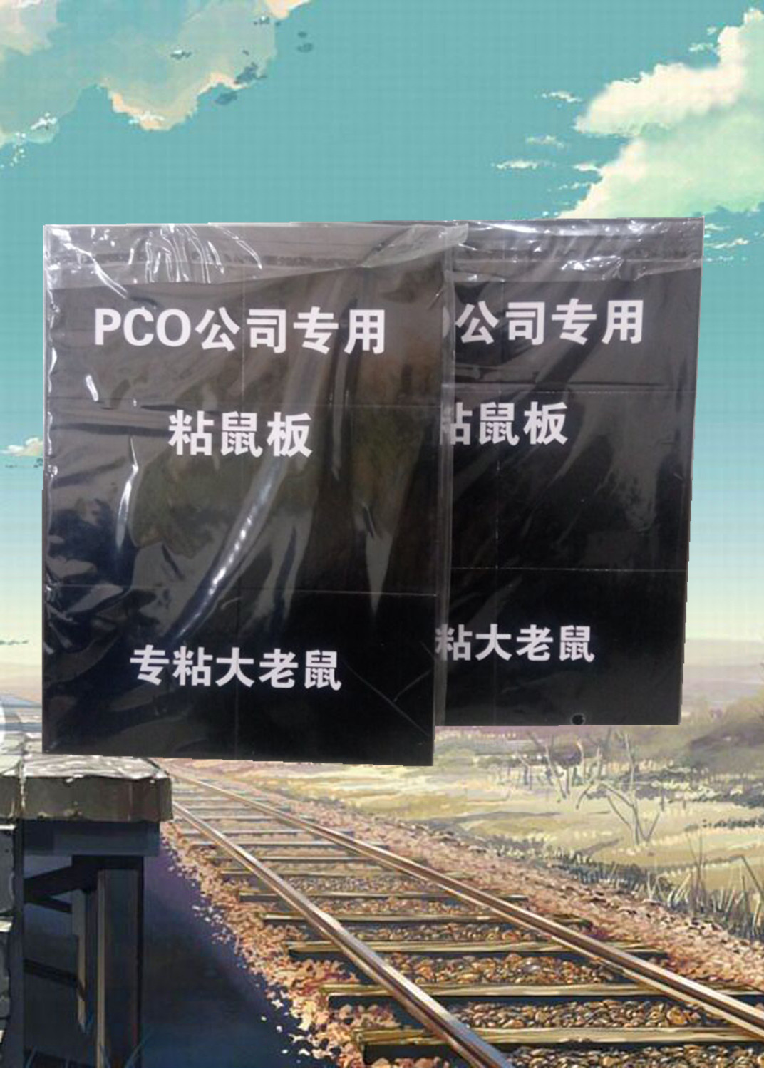 PCO公司专用粘鼠板图片
