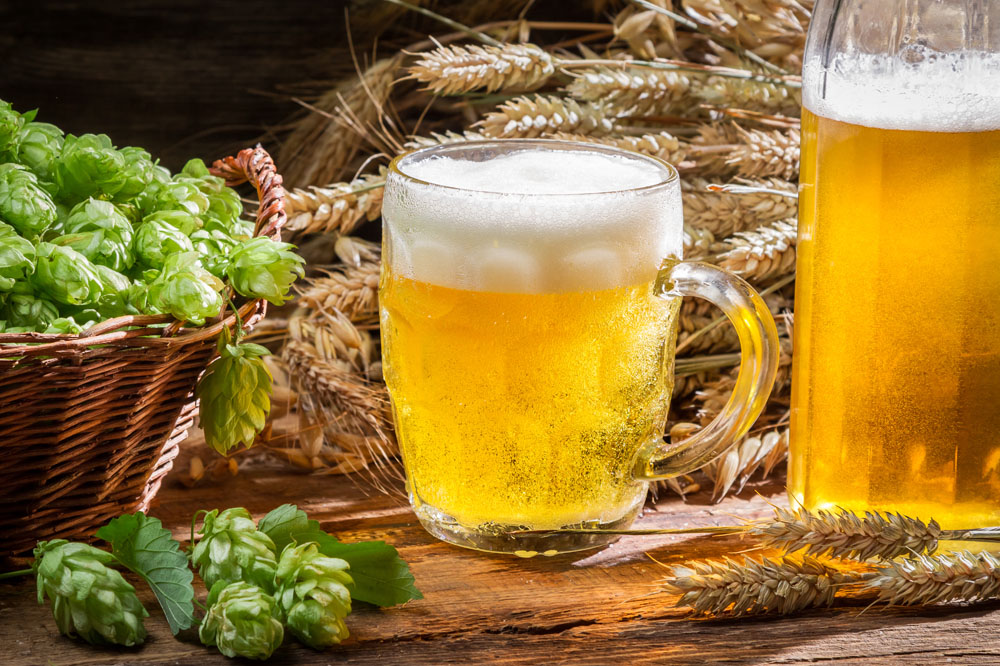 啤酒进口国内需要什么资料？