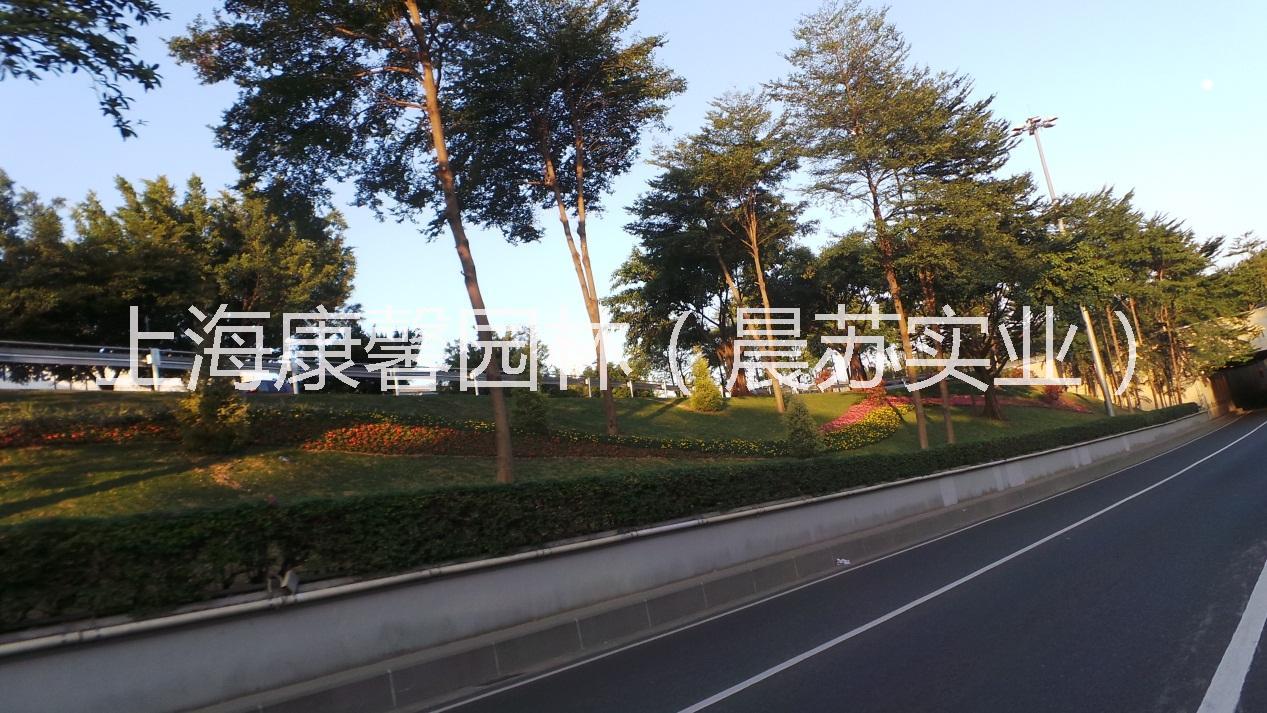 重庆绿化工程电话 重庆专业承接大小绿化工程施工公司，绿化工程施工