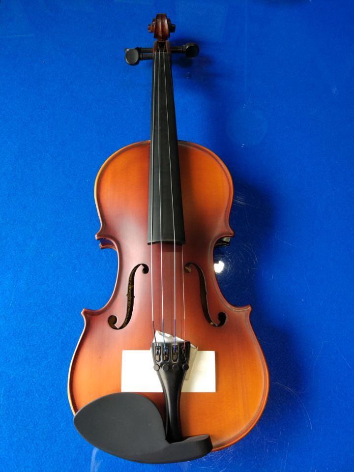 信阳小提琴、小提琴教学、艺苑琴行、小提琴考级