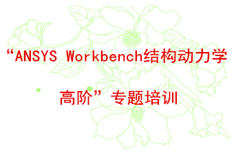 “ANSYS Workbench结构动力学高阶“专题培训