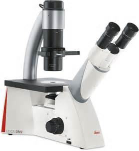 徕卡DMi1 徕卡DMi1倒置显微镜，生物显微镜批发图片