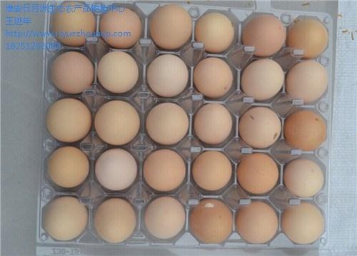 徐州草鸡蛋礼盒厂商|徐州草鸡蛋礼盒厂家直销|进年供