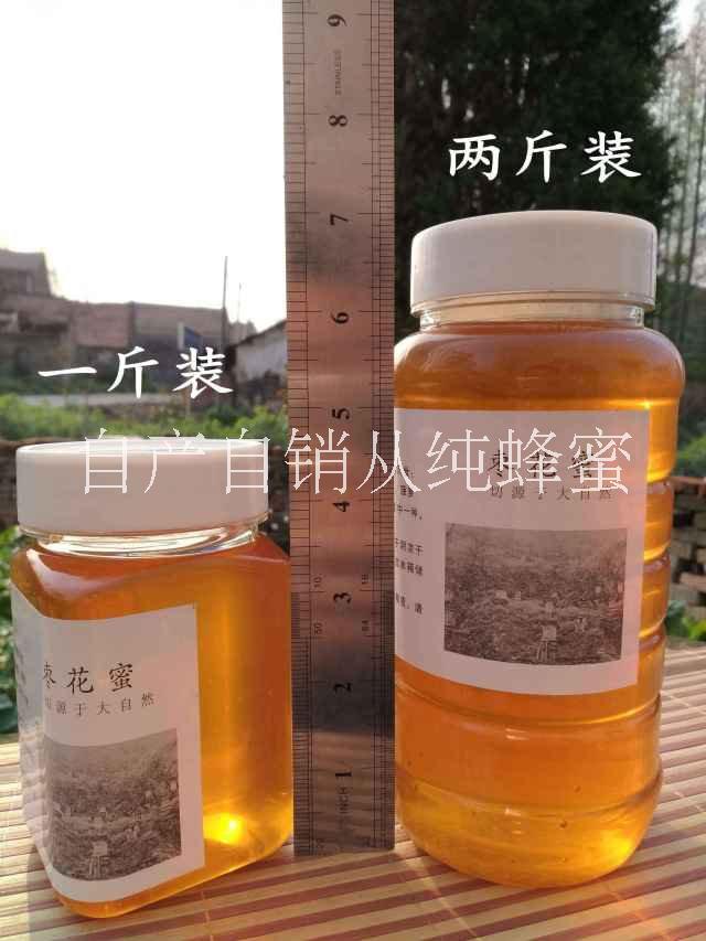 枣花蜜蜂蜜纯正天然野生农家自产厂家
