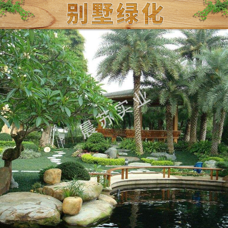 上海市别墅绿化出售厂家别墅绿化出售别墅庭院景观绿化施工跟养护庭院景观设计价格实惠别墅绿化工程