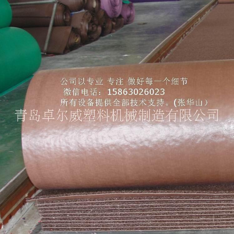 地垫宝丽美系列PVC喷丝地生产线批发
