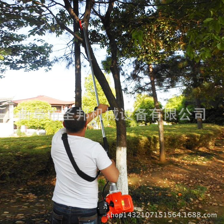 电动高枝锯山东供应电动高枝锯 小松高枝油锯价格 高枝油锯报价 多功能高枝锯