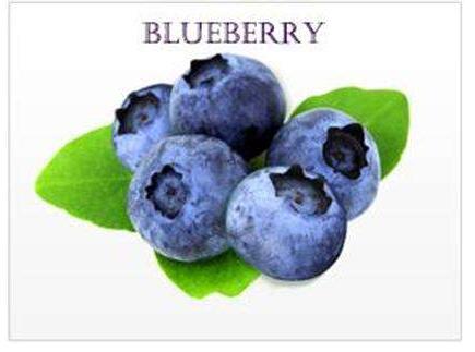 供天然浓缩果汁，蓝莓浓缩汁蓝莓浓缩汁 天然浓缩果汁，蓝莓浓缩汁 供天然浓缩果汁，蓝莓浓缩汁