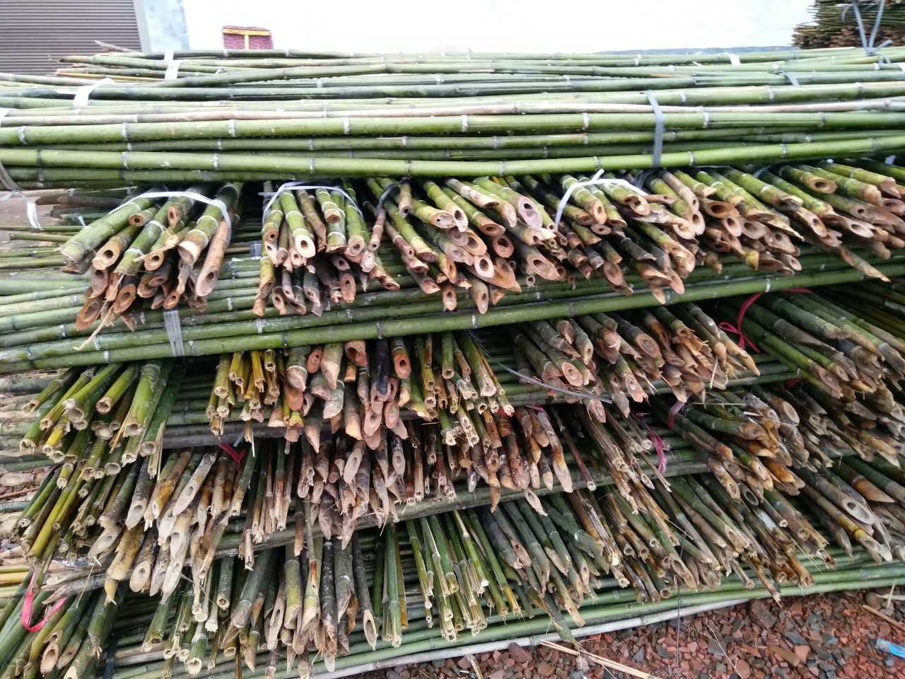 供应菜架竹 价格实惠，全国各地发货