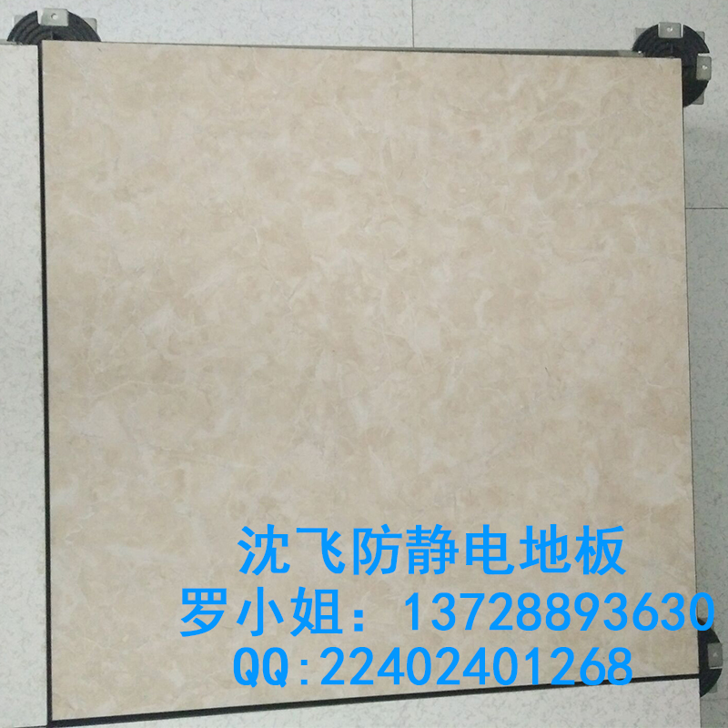 深圳罗湖陶瓷防静电架空地板 活动地板 架空地板 厂家直销 13728893630