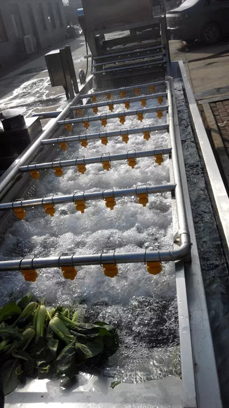 净菜加工流水线生产厂家 果蔬加工设备